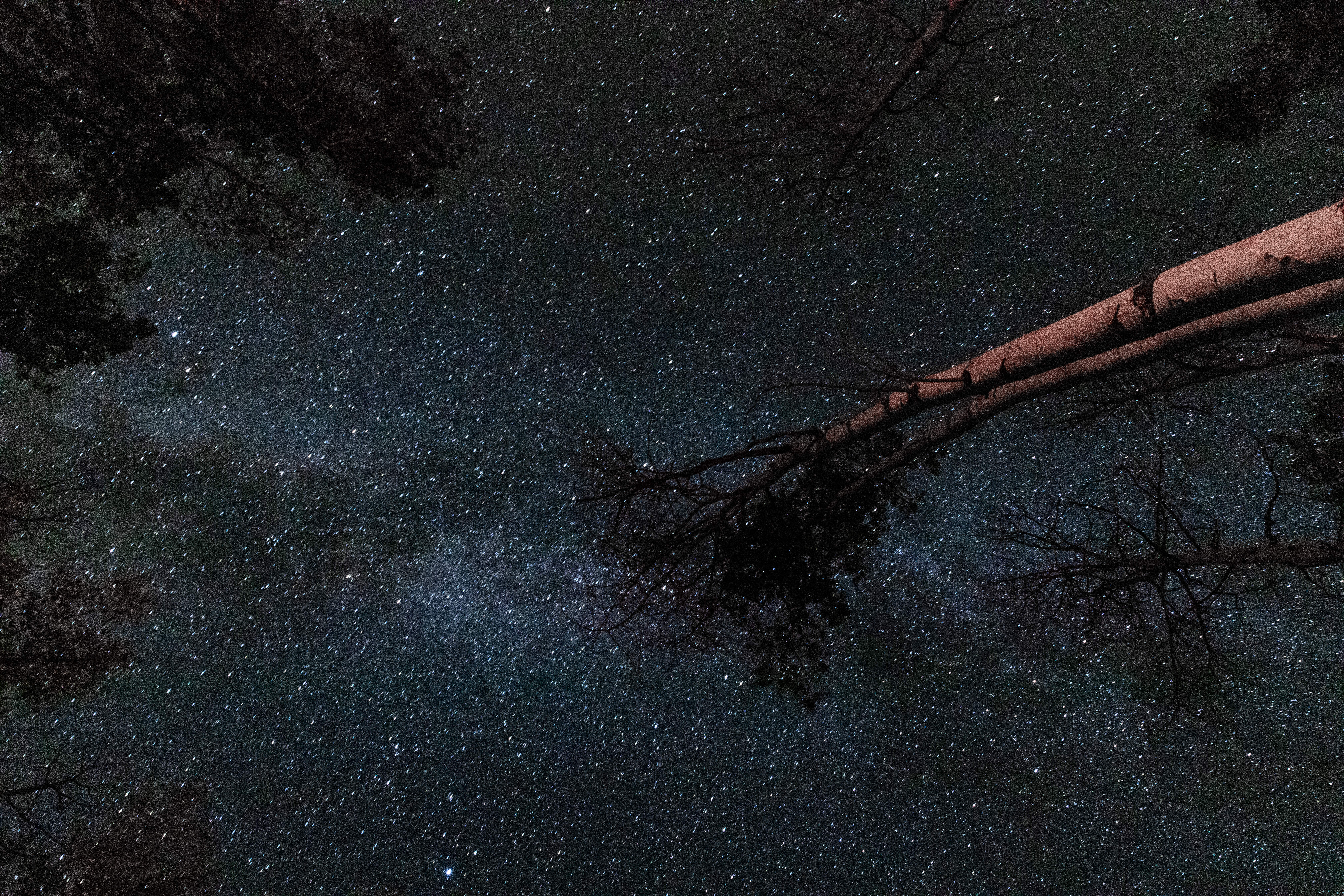 Perosnal Photography