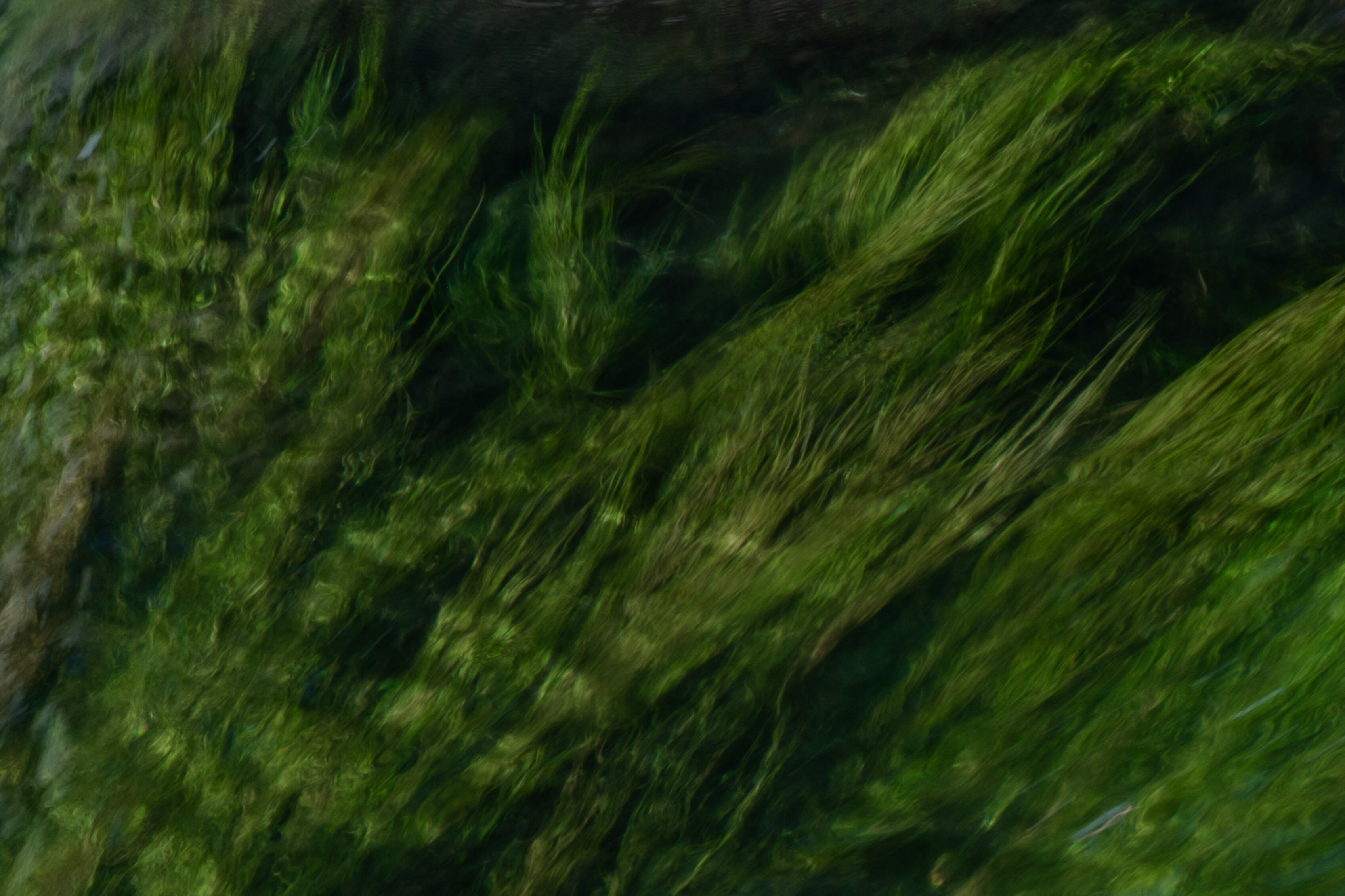 Personal Photography